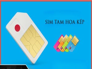 Tam Hoa kép là dạng sim không chỉ đẹp về cấu trúc của dãy số. mà còn đẹp về ý nghĩa ẩn chứa đằng sau nó đem đến cho người sử dụng.