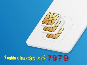 Sim 7979 giá rẻ là dòng sim số đẹp ở phân khúc thấp, được yêu thích không chỉ bởi giá rẻ mà còn đẹp về hình thức bên ngoài lẫn ý nghĩa bên trong.