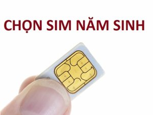 Sim số theo năm sinh sở hữu nhiều đặc điểm mà các dòng sim số đẹp khác không có. Trong bài viết hôm nay cùng tìm hiểu xem đó là gì nhé