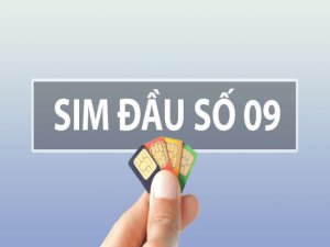 Sim vina số đẹp giá rẻ là dòng sim được cung cấp bởi nhà mạng Vinaphone. Nó luôn mang đến cho chủ thuê bao sự yên tâm, thoải mái khi sử dụng.