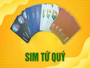 Sim tứ quý rẻ nhất là dòng sim được nhiều người đang ưa chuộng nhiều hiện nay. Nó không chỉ có giá rẻ mà lại đẹp về mặt con số.