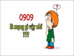 Sim Đầu 0909 là dòng sim của nhà mạng nào? Hiện nay nó đang được rất nhiều khách hàng quan tâm và tìm kiếm trong thời gian gần đây