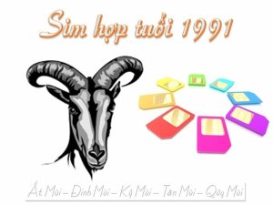 Sim năm sinh 1991 thuộc một trong dòng sim năm sinh số đẹp. Đang thu hút được rất nhiều khách hàng quan tâm trong thời gian gần đây nhất.