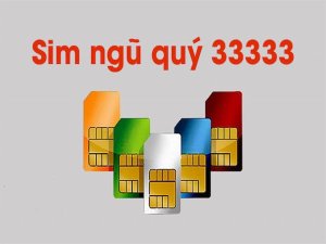 Sim ngũ quý 3 là dòng sim số đẹp đẳng cấp có cấu tạo gồm 5 chữ số 3 đứng cạnh nhau, nằm ở giữa hoặc cuối dãy số.