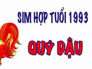 Sim đuôi 1993 là một dạng sim số đẹp được rất nhiều người sinh năm 1993 để ý. Không chỉ bởi sự đặc biệt về hình thức mà còn trong ý nghĩa