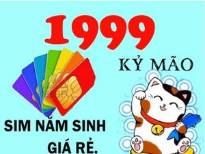 Sim năm sinh 1999 giá rẻ được xem là lá bùa hộ mệnh vô cùng may mắn cho người tuổi Mão. Vậy tại sao lại có quan điểm này?