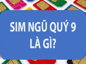 Ngũ 9 là tên của một dòng sim số đẹp ngũ quý, được nhiều người ưa chuộng và sẵn sàng bỏ ra số tiền khủng để sở hữu.