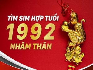 Sim năm sinh 1992 là dòng sim số đẹp và ấn tượng với những người sinh năm nhâm thân. Được xem là món quà ý nghĩa cho tuổi thân.