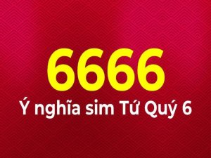 Sim tứ quý giá rẻ luôn là một trong những dòng sim đẳng cấp được tìm kiếm nhiều. Hôm nay cùng xem thông tin về sim này nhé