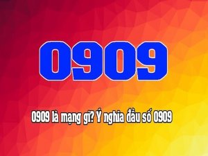 Sim đầu số 0909 là của nhà mạng nào? Nó mang tới cho khách hàng những trải nghiệm hấp dẫn về dịch vụ từ nhà mạng này đem tới.