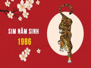 Sim 1986 là một trong những sản phẩm sim số đẹp về ngày tháng năm sinh. Dòng sim này là lựa chọn ý nghĩa cho tuổi Bính Dần