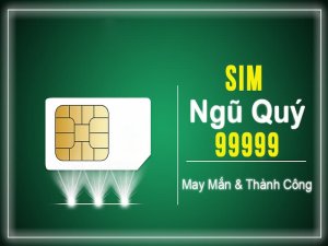 Sim 9999 nhìn thôi bạn cũng đã thấy được vẻ đẹp nổi bật về dãy số. Chính vì thế mà dòng sim này được đưa vào sim số Vip.