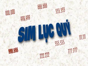 Sim số đẹp lục quý là dòng sim số đẹp có cấu tạo gồm 6 chữ số giống nhau đứng cạnh nhau trong cùng một dãy số.