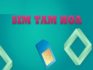 Số tam hoa là một trong những con số đặc biệt của dòng sim số đẹp, giúp mang lại nhiều ý nghĩa tốt đẹp cho chủ nhân của chiếc sim này.