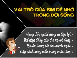 Sim số dễ nhớ là dòng sim số đẹp, có cấu trúc đặc biệt, giúp chủ nhân và mọi người đọc qua vài lần là nhớ ngay mà không cần lưu vào danh bạ.