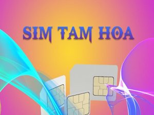 Mua sim tam hoa ở đâu uy tín? Quy tắc chọn sim tam hoa như thế nào cho hiệu quả? Tất cả sẽ được chúng tôi bất mí trong bài viết này.