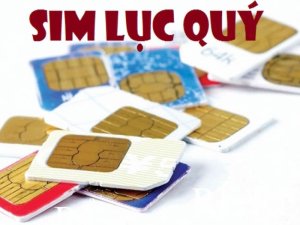 Số lục quý là dòng sim quý, hiếm trong dòng sim số đẹp hiện nay. Nó luôn thể hiện được vẻ đẹp độc nhất vô nhị mà khó sim nào có được.