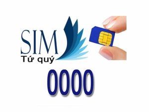 Sim tứ quý 0 là dòng sim không chỉ đẹp về hình thức các con số. Nó là sự kết hợp giữa 4 số 0 tạo nên ấn tượng đặc biệt.