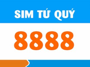 Giá sim tứ quý 8 là một chủ đề chưa bao giờ hết hot. Bởi luôn có rất nhiều người quan tâm đến phân khúc giá sản phẩm này.