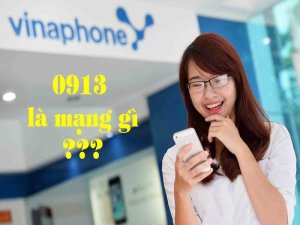 Sim vina 0913 là đầu số cổ nhất của nhà mạng Vinaphone được nhiều khách hàng yêu thích lựa chọn sử dụng.