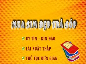 Mua sim vina trả góp là nhu cầu mua sim số đẹp của nhà mạng Vinaphone. Đã không qua xa lạ trên thị trường sim số hiện nay.