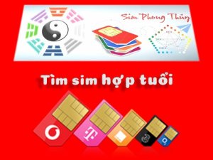 Bật mí cho bạn biết cách tìm sim phong thủy hợp tuổi