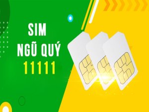 Sim 11111