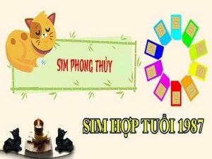 Sim năm sinh 1987 được biết đến là dòng sim số đẹp về năm sinh dành cho tuổi Đinh Mão. Một sản phẩm giúp đánh dấu mốc thời gian quan trọng nhất