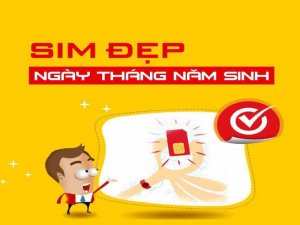 Sim năm sinh 1985 là một trong những dòng sim số đẹp. Nó rất phù hợp với những người có tuổi Ất Sửu và mang lại may mắn với họ.