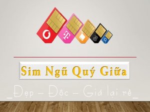 Sim ngũ quý giữa đang được đa số người dùng săn đón và tìm kiếm. Bởi nó không chỉ về giá thành rẻ, mà giữ nguyên giá trị về mặt ý nghĩa