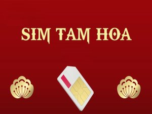 Sim tam hoa thuộc vào dòng sim số đẹp được yêu thích nhất tại Việt Nam hiện nay. Nó không chỉ đẹp về mặt số mà còn đẹp về ý nghĩa