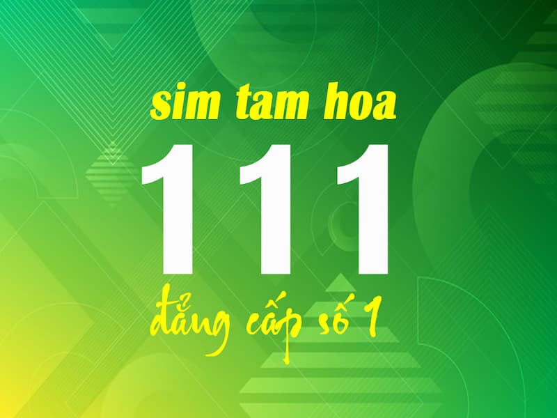 Sim tam hoa 111