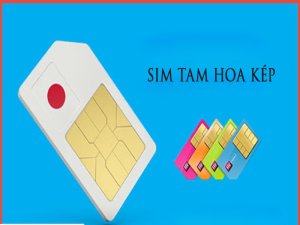 Sim tam kép là dòng sim số đẹp, dễ nhớ, dễ gây ấn tượng với hai dãy tam hoa nằm cạnh nhau trong cùng một dãy số sim.