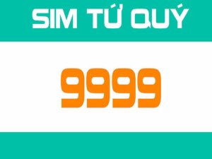 Sim tứ quý 9 có ý nghĩa gì trong thu hút tài lộc cũng như công danh sự nghiệp. Tại sao nó lại được tìm kiếm nhiều như vậy?