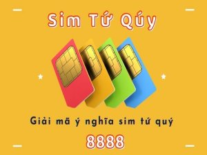 Sim tứ quý 8 là loại sim như thế nào mà được săn lùng nhiều đến như vậy? Theo dõi ngay bài viết sau để nắm được nội dung này