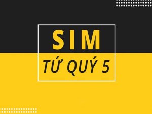 Sim tứ quý 5 thuộc top những sim số đẹp được tìm kiếm nhiều nhất. Nó không chỉ đẹp về mặt hình thức mà còn ẩn chứa nhiều ý nghĩa đặc biệt.