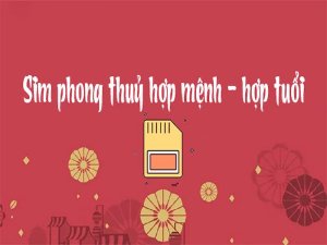 Mua sim theo tuổi là một cách lựa chọn sim hợp phong thủy và bản mệnh với mình. Giúp kích thích vận may trong công việc và cuộc