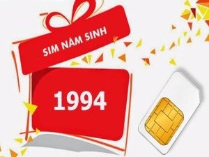 Sim năm sinh 1994 được xem là món quà dành riêng cho người sinh năm Giáp Tuất. Chính vì thế mà nó được xem là hottren của lứa tuổi này