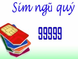 Sim ngũ quý 99999 nhìn thấy dãy số thôi là chúng ta đã thấy vẻ đẹp nổi bật và đẳng cấp của nó. Một dòng sim nói lên thương hiệu người dùng