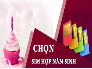 Bán sim ngày tháng năm sinh ở đâu? là thắc mắc của rất nhiều người. Bởi đây là sim mang ý nghĩa đánh dấu mốc quan trọng trong mỗi người chúng ta