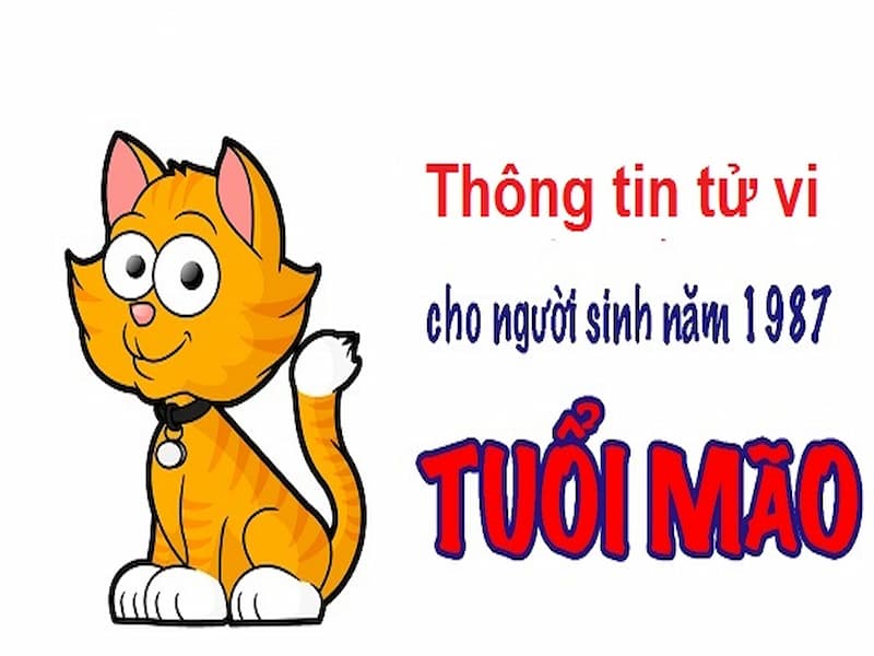 Chọn sim bộ 8 số cuối trùng với ngày tháng năm sinh tuổi Đinh Mão