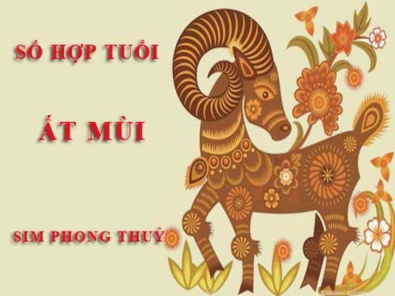 Chọn sim 1995 phong thủy theo âm dương, ngũ hành