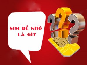 Mua sim dễ nhớ ở địa chỉ nào cho an toàn về cả chất lượng và dịch vụ? Nhiều người cũng đang thắc mắc câu hỏi này như bạn