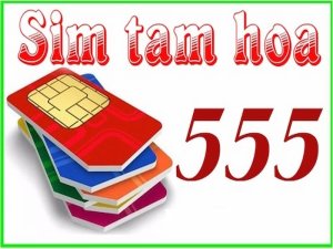 Sim tam hoa 5 là một trong những dòng sim số đẹp được nhiều người yêu thích. Nhờ nó có ý nghĩa vô cùng đặc biệt ví như kiềng 3 chân.