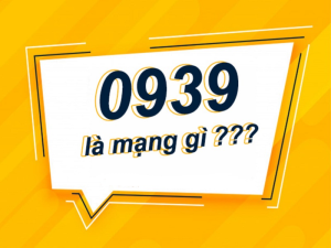 Sim mobi 0939 là đầu số của nhà mạng nào? Mà hiện nay đang được đông đảo người mua sim số đẹp tìm và lựa chọn sử dụng nó