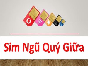 Sim ngũ quý giữa là dòng sim khá đặc biệt có chứa dãy 5 số giống hệt nhau ở giữa. Tạo nên vẻ đẹp khác khác cùng ý nghĩa đặc biệt