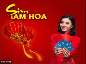 Sim tam hoa đẹp là vật phẩm không thể thiếu giúp cho chủ thuê bao thành cát. Hóa dữ thành lành, nó được gọi là thuận Phong Thủy số cải vận.