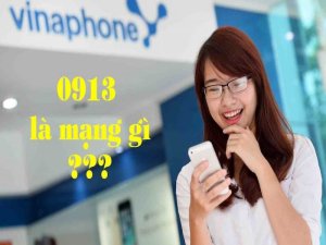 Mua sim 0913 ở đâu? Cách mua sim theo từng đối tượng người dùng như thế nào? Là câu hỏi đang được rất nhiều người quan tâm đến.