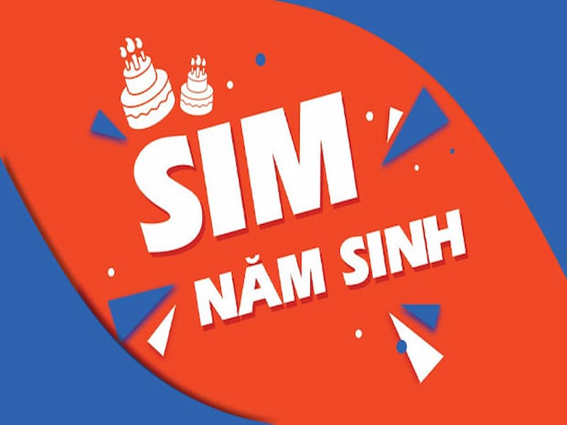 Sim ngày tháng năm sinh là gì?