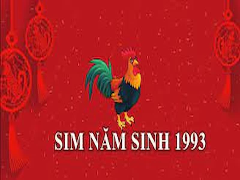 Sim năm sinh 1993 có 4 loại chính cho bạn thỏa sức lựa chọn